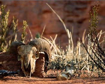 Proyecto con Unreal Engine 04