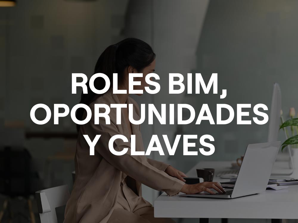 Roles Profesionales BIM