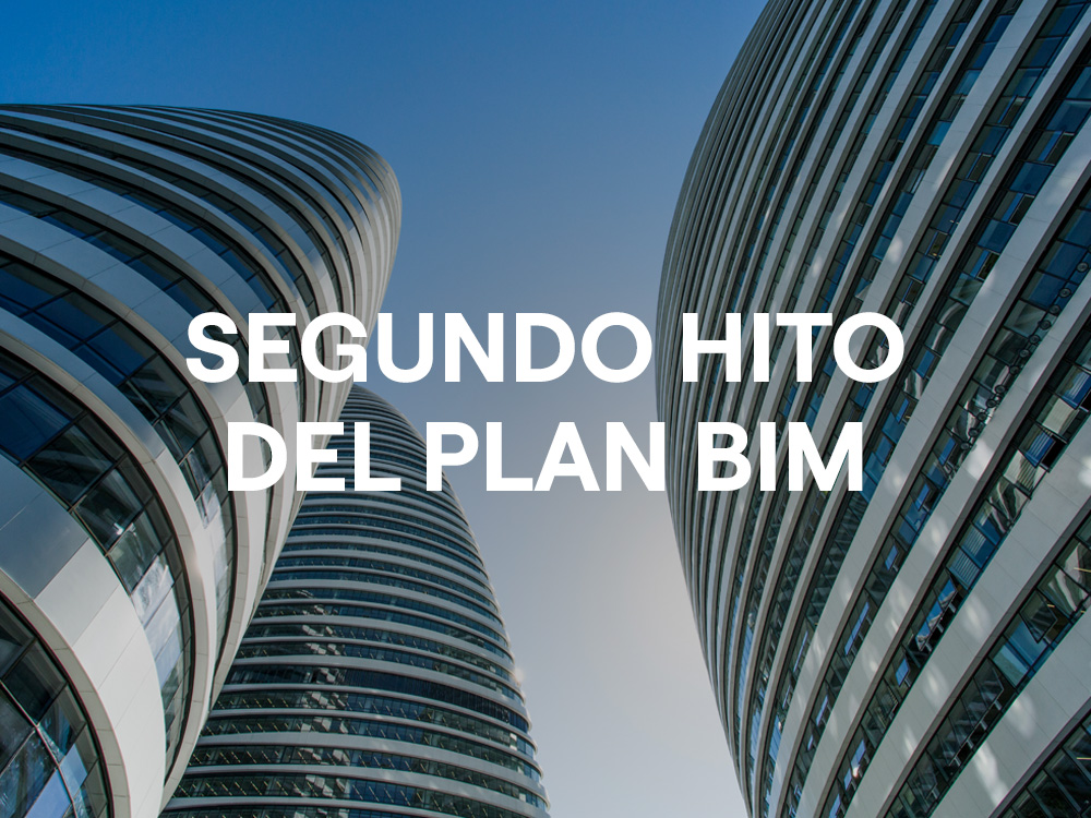 Segundo hito plan bim 2025